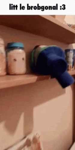 A Picture Of A Shelf With A Bottle On It And The Words Litt Le Brobgonal : 3 GIF