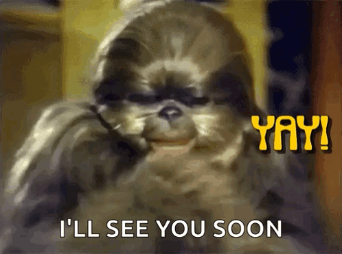 A Picture Of A Shih Tzu Dog With The Words " I 'Ll See You Soon " Above It GIF