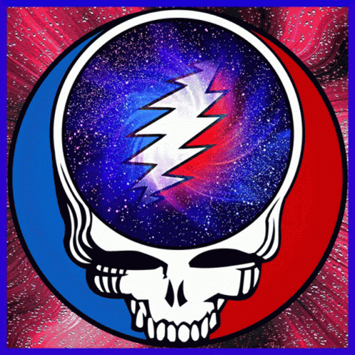 A Picture Of A Skull With A Lightning Bolt In The Middle GIF