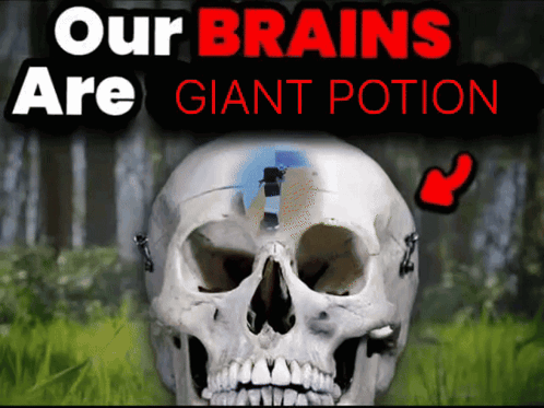 A Picture Of A Skull With The Words Our Brains Are Giant Potion GIF