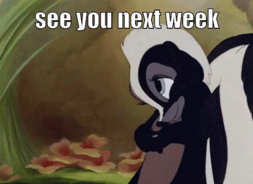 A Picture Of A Skunk With The Words See You Next Week Below It GIF