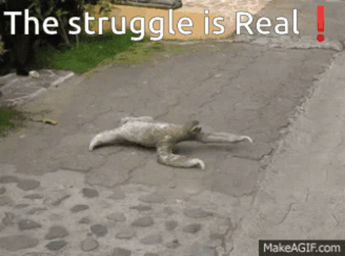 A Picture Of A Sloth On The Ground With The Words The Struggle Is Real Above It GIF