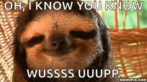 A Picture Of A Sloth With A Caption That Says Oh I Know You Know Wusss Uuupp GIF
