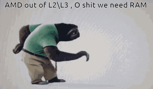 A Picture Of A Sloth With The Words Amd Out Of L2 L3 O Shit We Need Ram Below It GIF