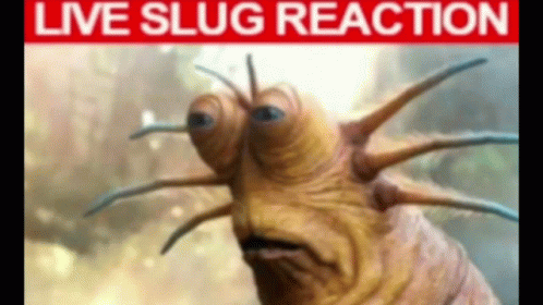 A Picture Of A Slug With A Live Slug Reaction Written On The Bottom GIF