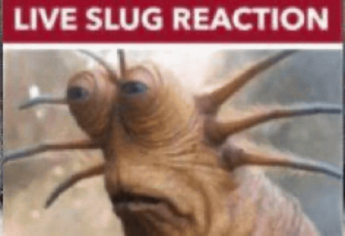 A Picture Of A Slug With A Red Sign That Says Live Slug Reaction On It . GIF