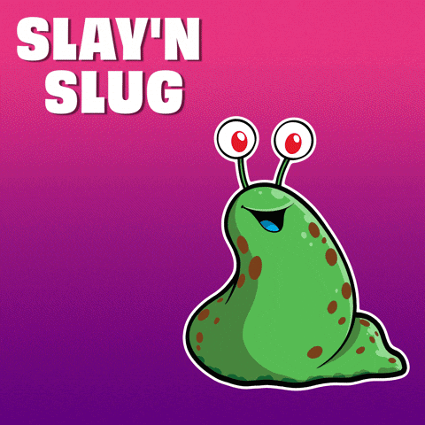A Picture Of A Slug With The Words " Slay 'N Slug " Below It GIF