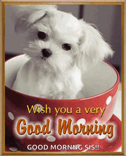 A Picture Of A Small White Dog In A Red Cup With The Words Wish You A Very Good Morning Good Morning Sis GIF
