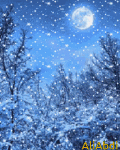 A Picture Of A Snowy Forest With The Name Aliabdi On The Bottom Right GIF