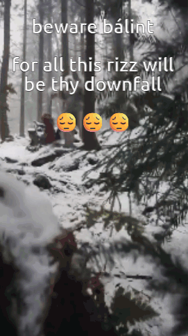 a picture of a snowy forest with the words beware balint