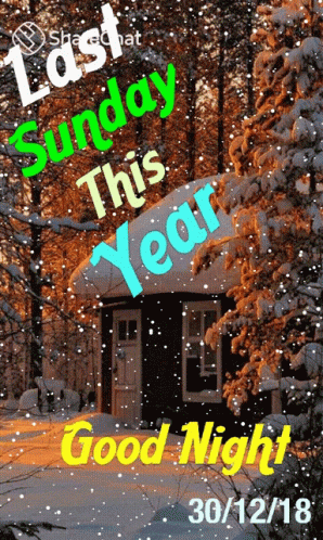 A Picture Of A Snowy Forest With The Words Last Sunday This Year GIF