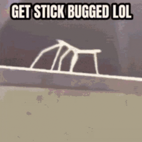 A Picture Of A Spider Web With The Words Get Stick Bugged Lol On It GIF