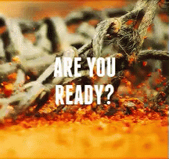 A Picture Of A Spider With The Words " Are You Ready " On It GIF