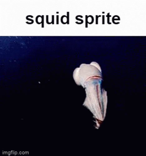 A Picture Of A Squid With The Words Squid Sprite Written Above It . GIF