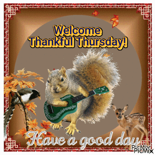 A Picture Of A Squirrel Playing A Guitar With The Words Welcome Thankful Thursday GIF