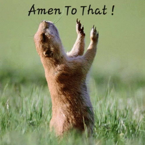 A Picture Of A Squirrel With The Words Amen To That On The Bottom GIF