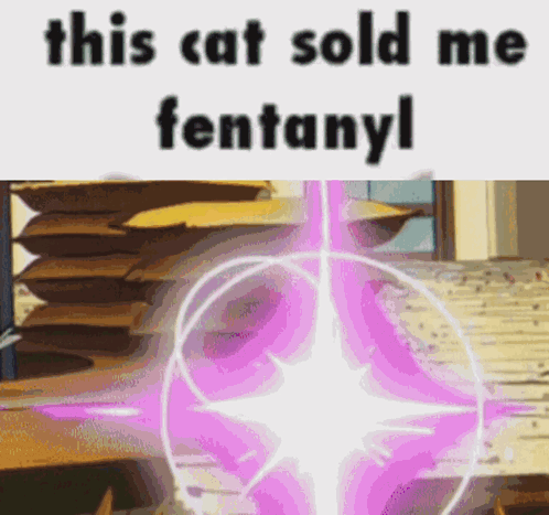 A Picture Of A Stack Of Cardboard Boxes Next To A Picture Of A Purple Star That Says This Cat Sold Me Fentanyl GIF
