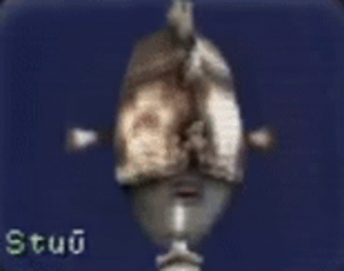 A Picture Of A Statue With The Words Stupid Mercenary Written Below It GIF