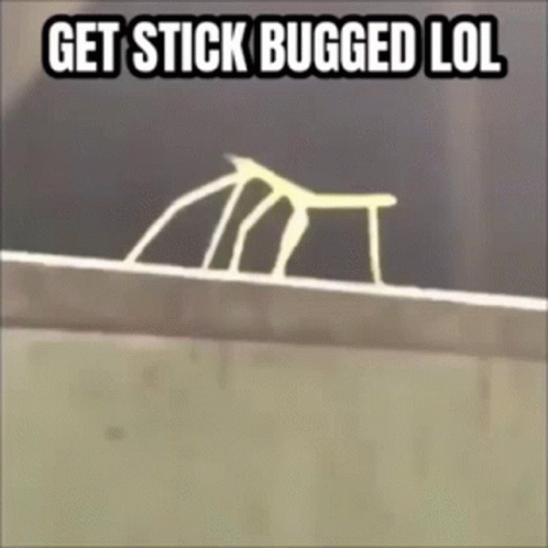A Picture Of A Stick With The Words Get Stick Bugged Lol GIF