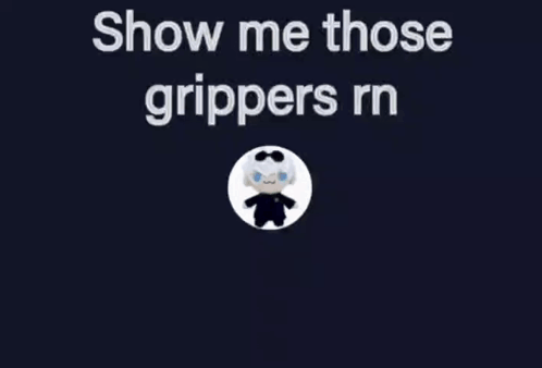 A Picture Of A Stuffed Animal With The Words Show Me Those Grippers Rn Above It GIF