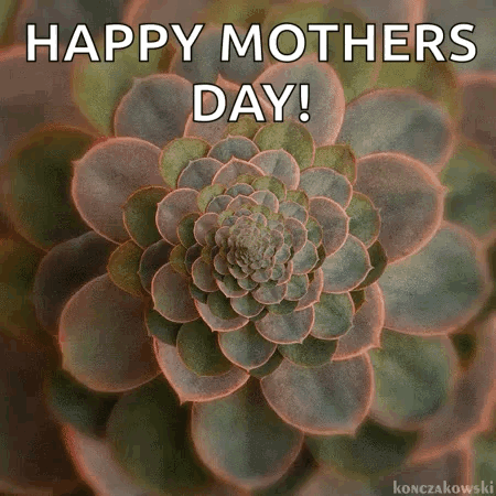 A Picture Of A Succulent Plant With The Words `` Happy Mothers Day '' Written Above It . GIF