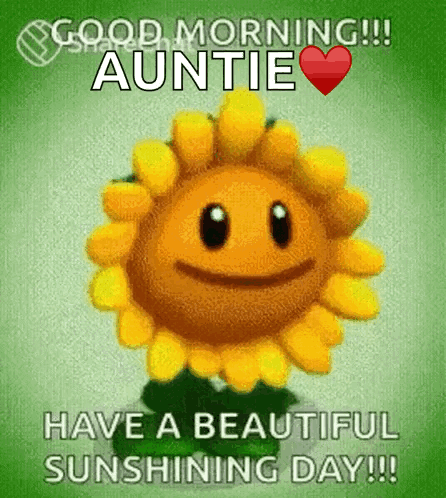 A Picture Of A Sunflower That Says Good Morning Auntie GIF