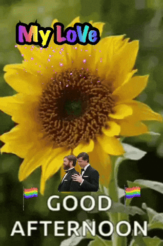 A Picture Of A Sunflower With The Words " My Love Good Afternoon " Below It GIF