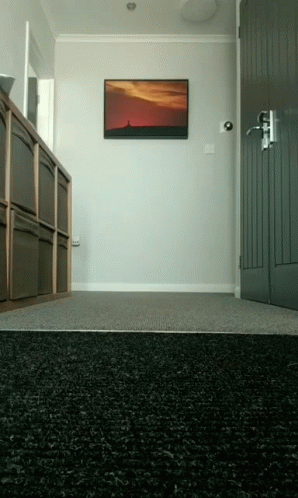 A Picture Of A Sunset Hangs On The Wall Above The Door GIF