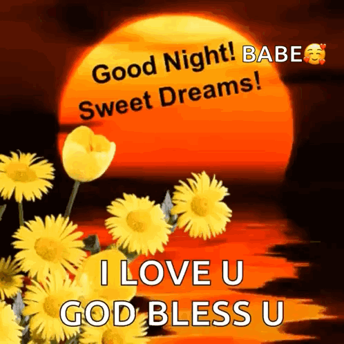 A Picture Of A Sunset With Flowers And The Words `` Good Night Babe Sweet Dreams I Love U God Bless U '' . GIF