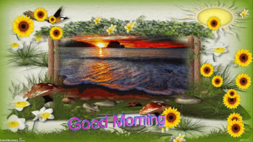 A Picture Of A Sunset With The Words Good Morning Written On It GIF