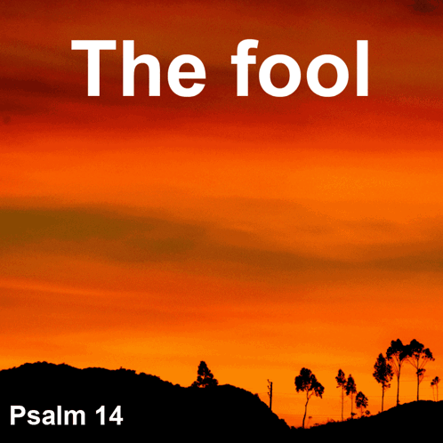 A Picture Of A Sunset With The Words The Fool Psalm 14 GIF