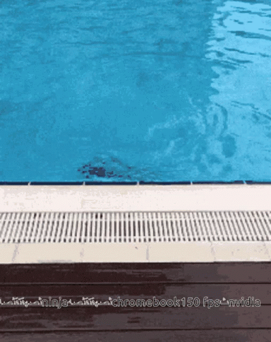 A Picture Of A Swimming Pool With The Words Chromebook150 Fps Nvidia GIF