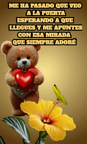 A Picture Of A Teddy Bear Holding A Heart With The Words Me Ha Pasado Que Veo A La Puerta Written Above GIF