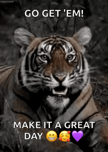 Tiger Saying Go Get Em Make It A Great Day GIF