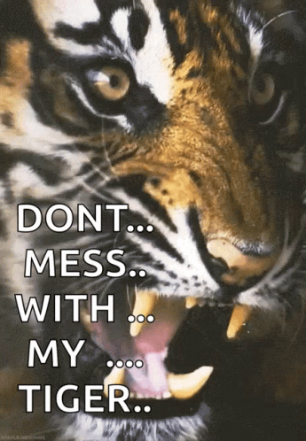 A Picture Of A Tiger With The Words " Do N't Mess With My Tiger " GIF