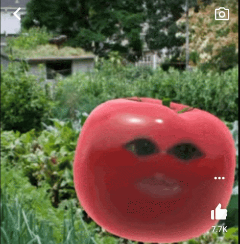 A Picture Of A Tomato With A Face And A Thumbs Up Sign GIF