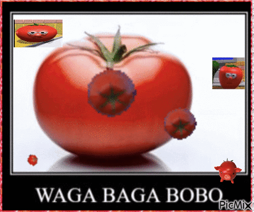 A Picture Of A Tomato With A Face And The Words Waga Baga Bobo GIF