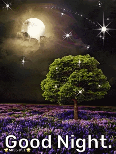 A Picture Of A Tree In A Field With The Words " Good Night " Below It GIF