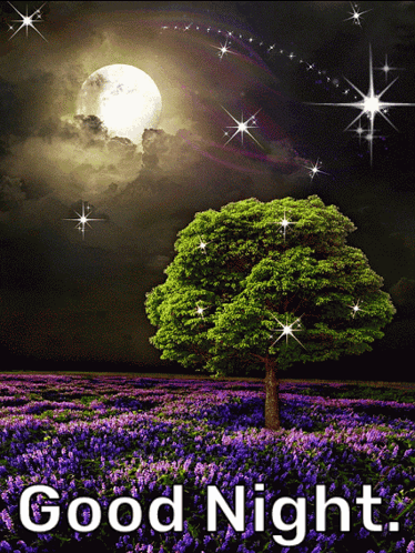A Picture Of A Tree In A Field With The Words Good Night Written Below It GIF
