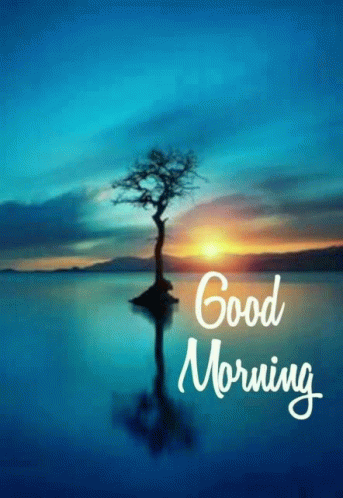 A Picture Of A Tree In The Water With The Words Good Morning Written Below It GIF
