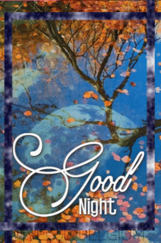 A Picture Of A Tree With The Words Good Night Written On It GIF