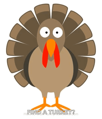 A Picture Of A Turkey With The Words Find A Turkey At The Bottom GIF