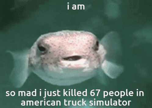 A Picture Of A Turtle With The Words I Am So Mad I Just Killed 67 People In American Truck Simulator GIF