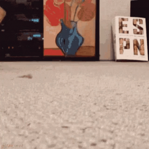 A Picture Of A Vase Of Flowers Is On A Wall Next To A Sign That Says Es Pn GIF