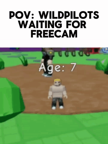 Video Game Waiting For Freecam GIF