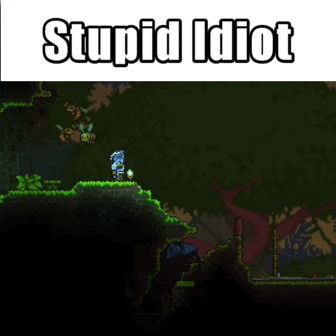 A Picture Of A Video Game With The Words Stupid Idiot Above It GIF