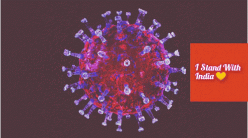 A Picture Of A Virus With The Words " I Stand With India " Underneath It GIF