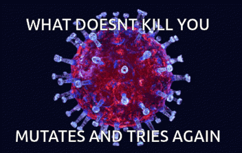 A Picture Of A Virus With The Words " What Does Nt Kill You Mutates And Tries Again " GIF