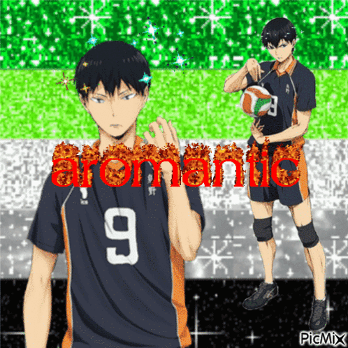 A Picture Of A Volleyball Player With The Number 9 On It GIF