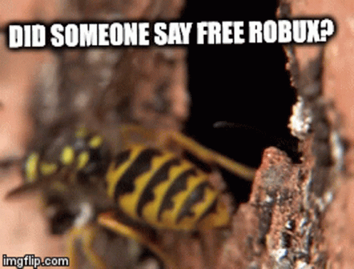 A Picture Of A Wasp With The Words Did Someone Say Free Robux GIF